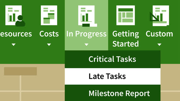 Mastering Microsoft Project Graphical Reports