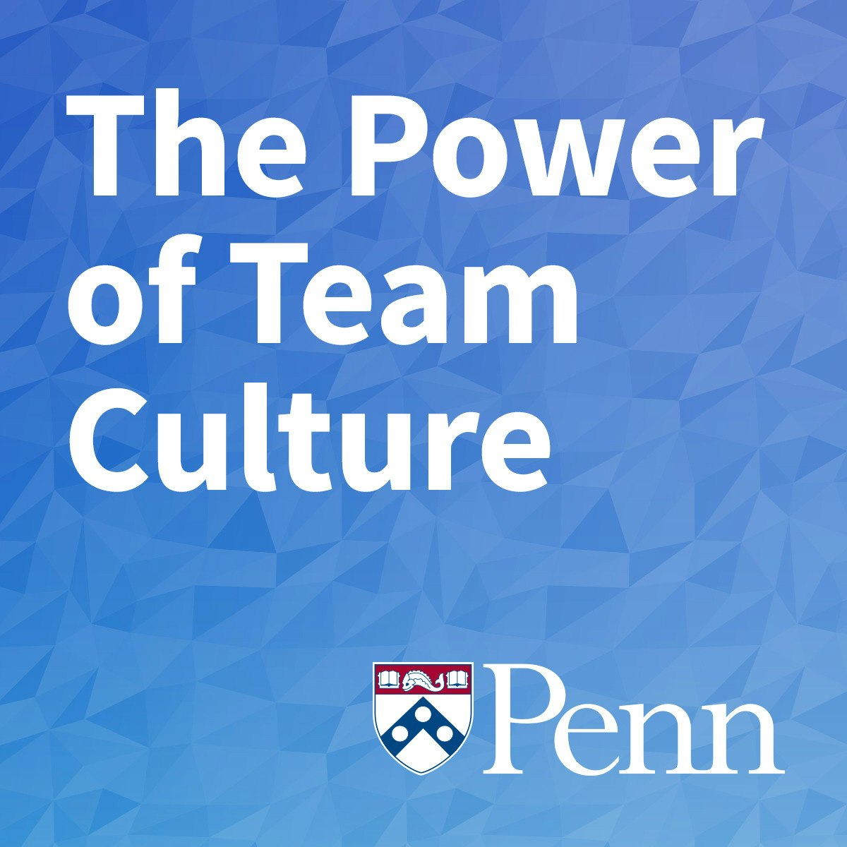 قدرت فرهنگ تیمی