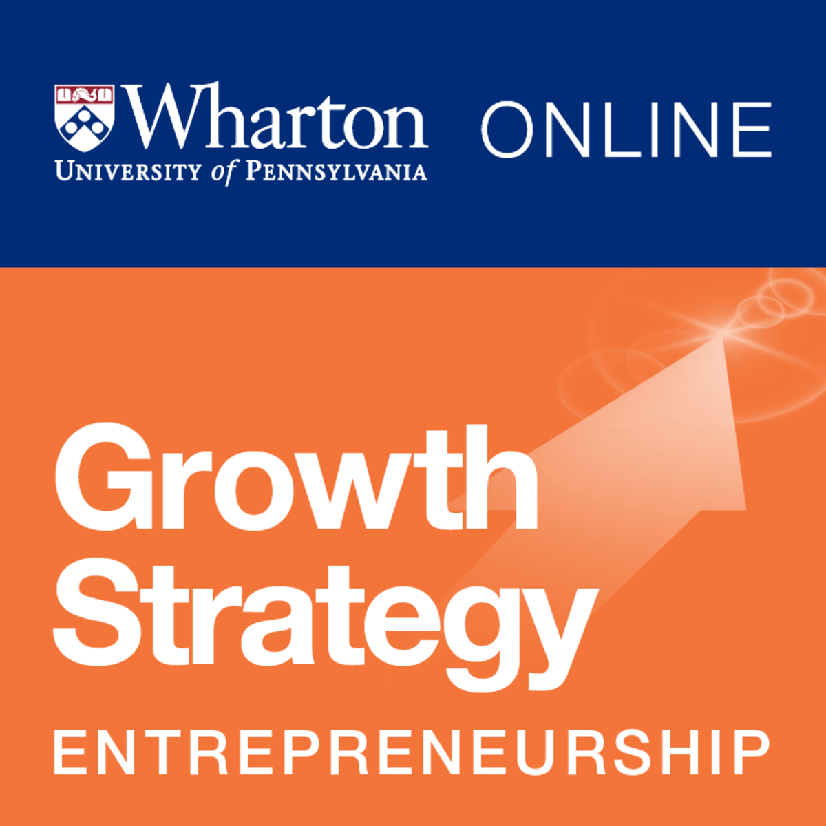 کارآفرینی 3: استراتژی های رشد