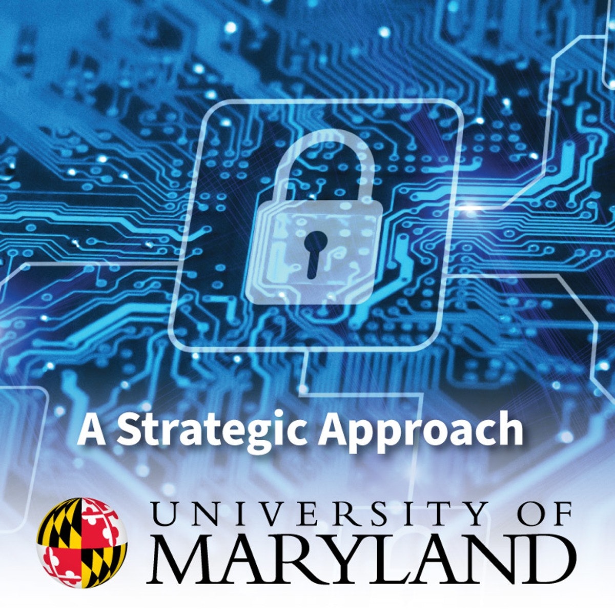 رویکردی استراتژیک به امنیت سایبری